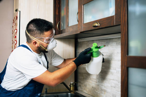 Best Pest Prevention Services  in Winfield, TN
