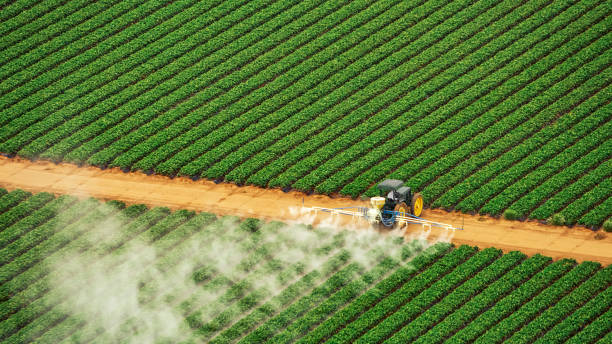 Best Pest Prevention Services  in Winfield, TN