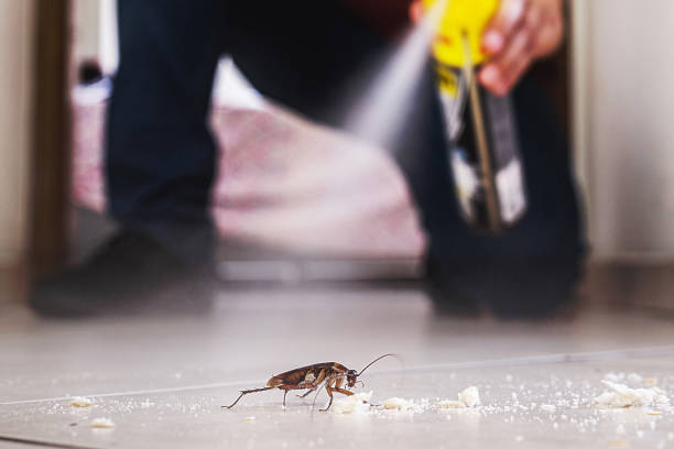 Best Commercial Pest Control Services  in Winfield, TN