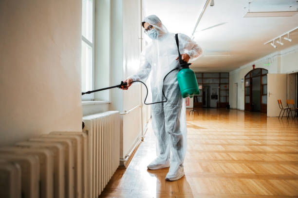 Best Flea Control Services  in Winfield, TN
